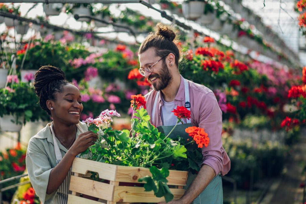 Multiracial couple of gardeners working in a greenhouse